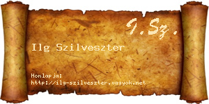 Ilg Szilveszter névjegykártya